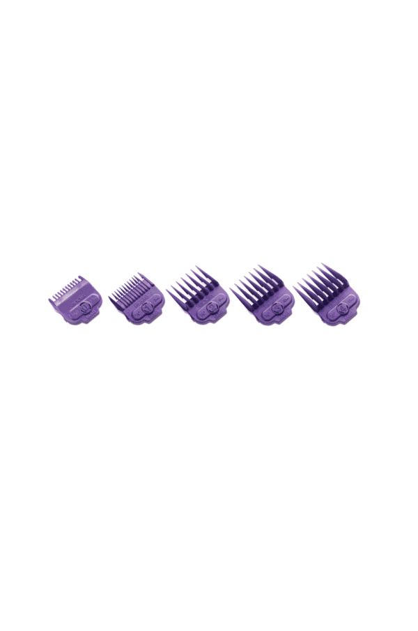 Andis Master Single Magnetic Comb Set